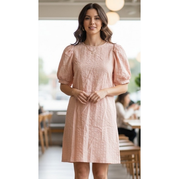 A New Day Puff Sleeve  Dress Light Pink Size S - Picture 1 of 10